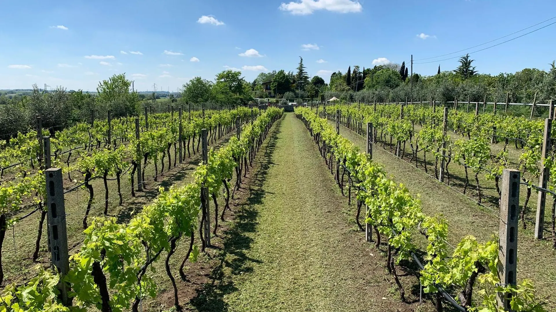 Alojamento de Turismo Rural Le Mistral Vila Sommacampagna